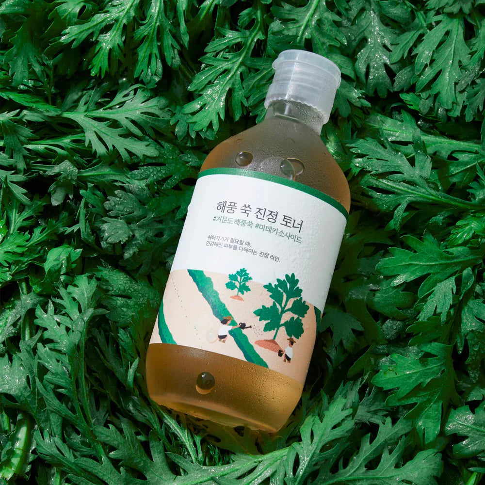 ROUND LAB MUGWORT CALMING TONER - 300ml